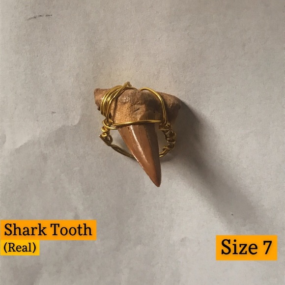 Shark Tooth Ring - Picture 2 of 2